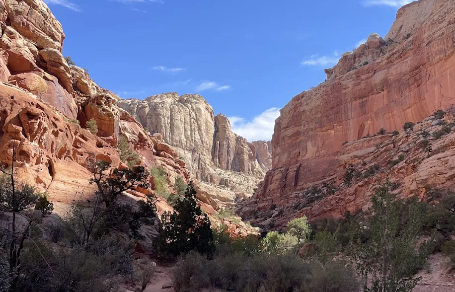 A canyon opening between red rock walls with pale sandstone domes visible beyond in Capitol Reef National Park