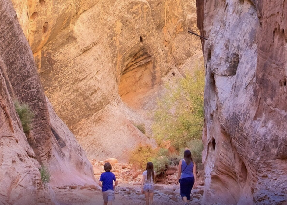 Two children and an adult walking the flat sandy floor of a canyon between tall sandstone walls in Capitol Reef National Park