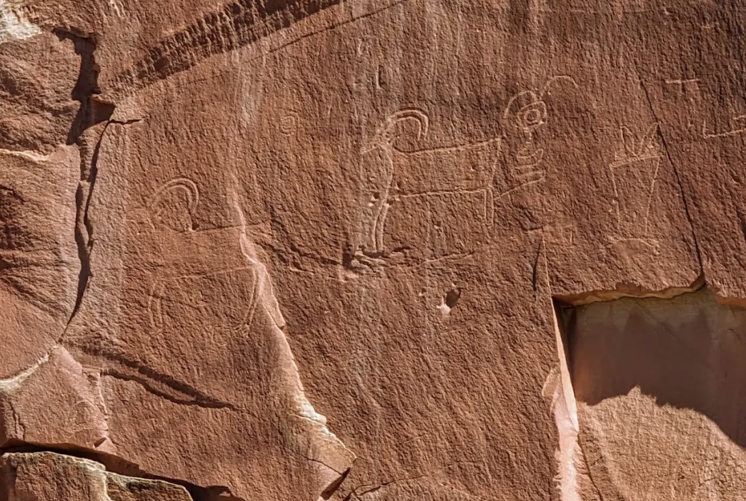 Ancient petroglyphs of bighorn sheep and human figures carved into a red sandstone wall in Capitol Reef National Park