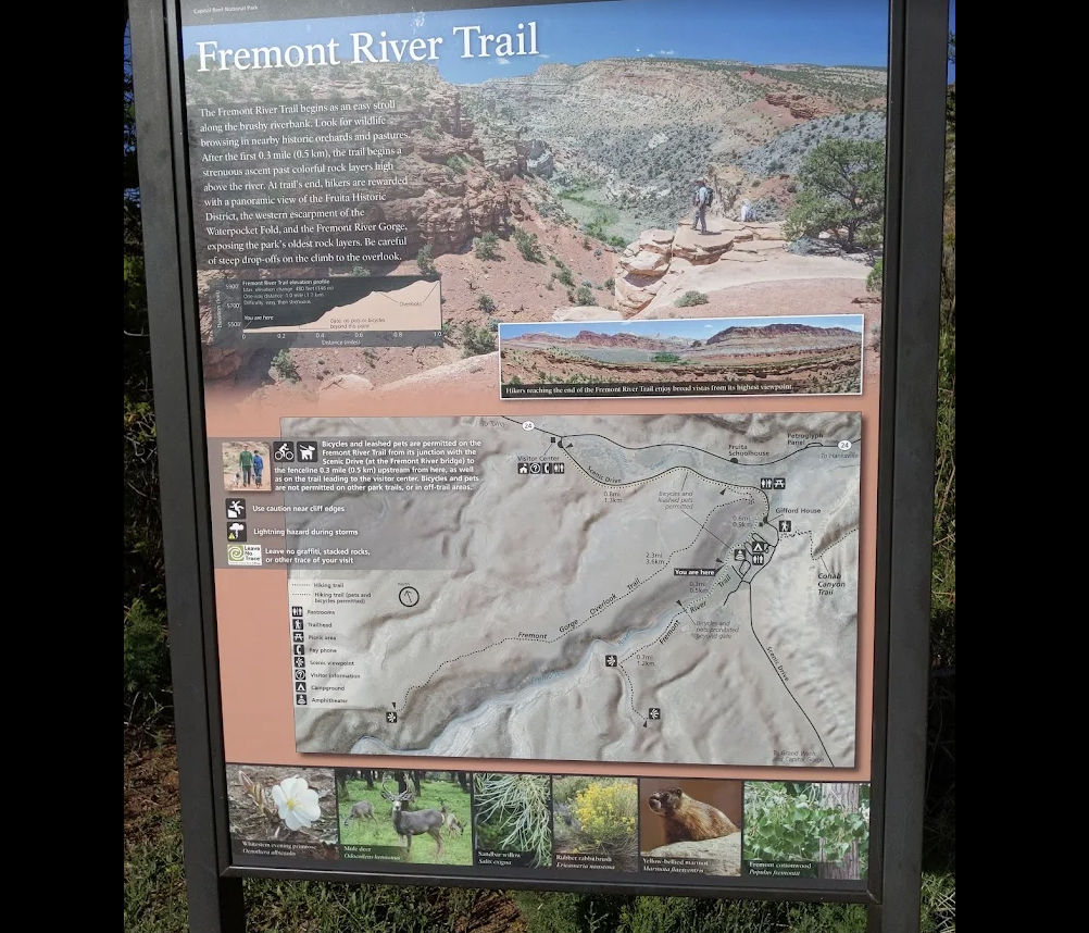 National Park Service interpretive sign for the Fremont River Trail showing a map, elevation profile and local wildlife in Capitol Reef National Park