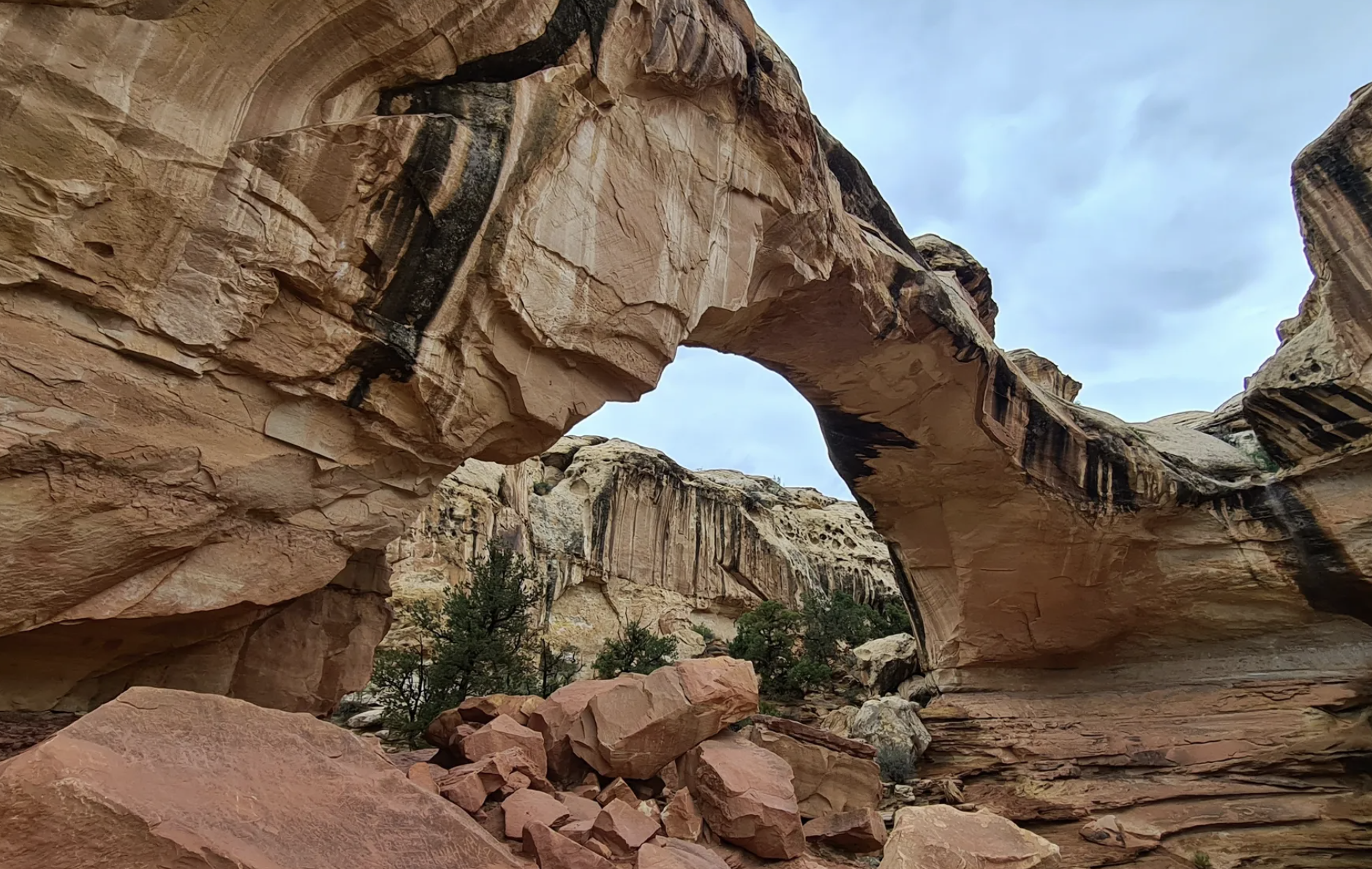 A natural sandstone arch opening onto a canyon view with juniper trees below in Capitol Reef country, Utah