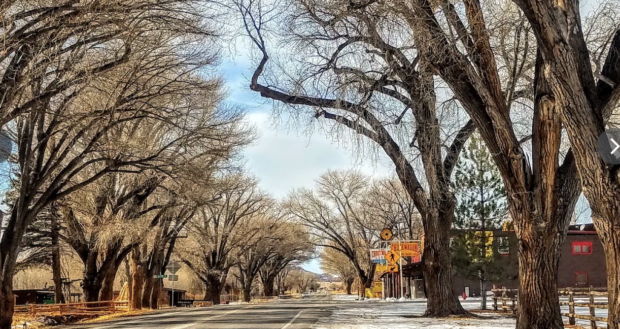 Bare cottonwood trees arching over Main Street in Torrey, Utah with snow on the ground and the Chuckwagon sign visible